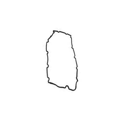 واشر-درب-سوپاپ-تیگو7