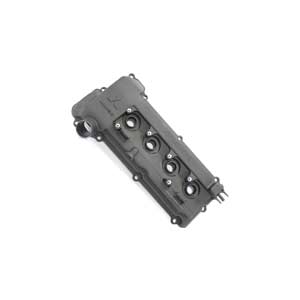 درب سوپاپ اریو Z300